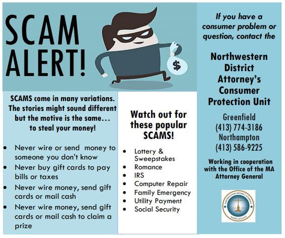 Scam Alert Infographic