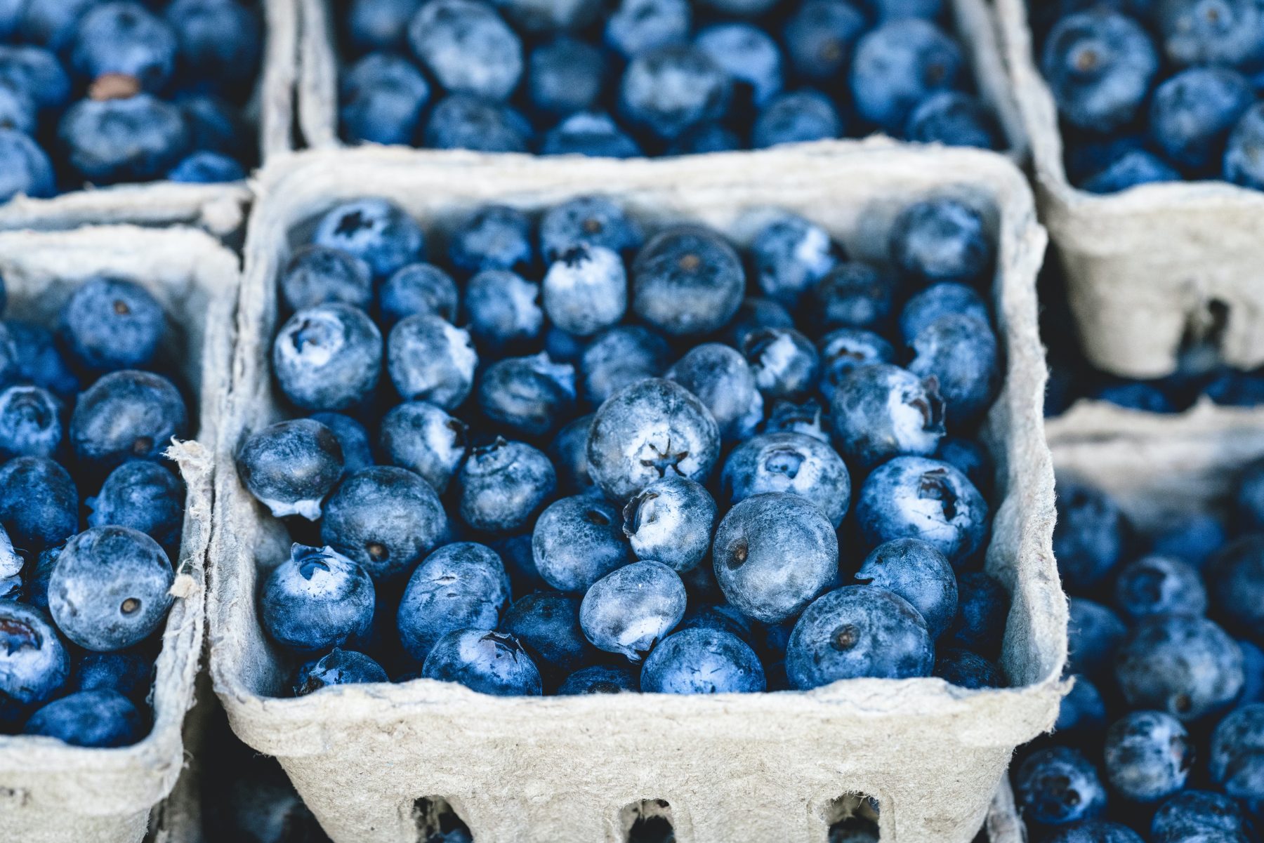 cartons of blueberries