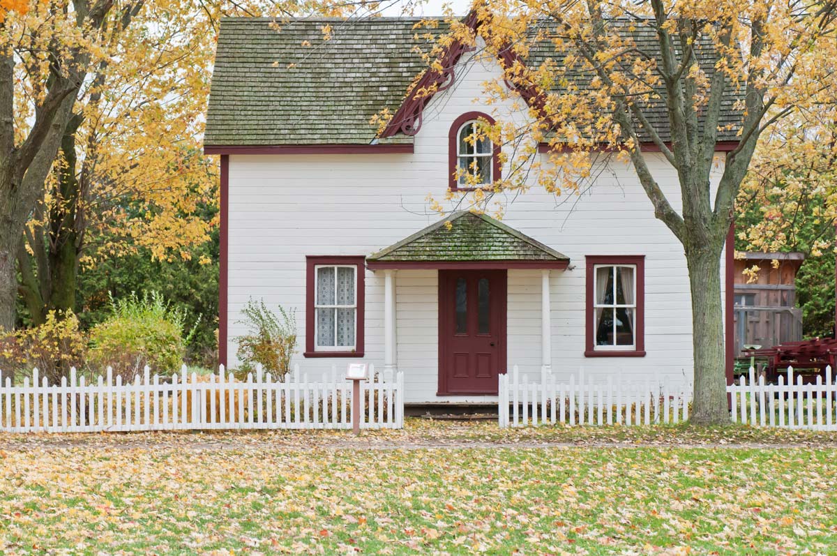 Picture of a house in the fall with a tree